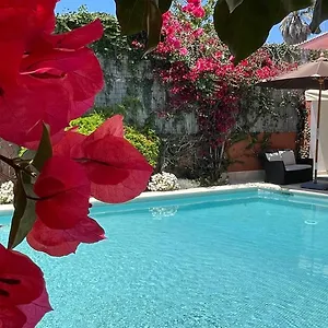 With Private Swimming Pool And Garden Appartement
